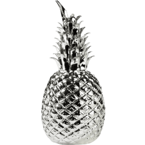 PINEAPPLE-Silver